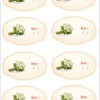 r10403 fleur d'oranger