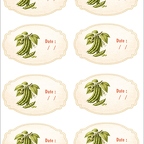 r10411 haricots vert