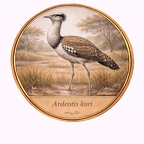 r10511  Ardeotis kori
