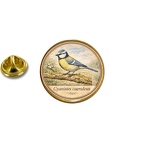 PE 10361 Cyanistes caeruleus