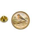 PE 10362 Fringilla coelebs