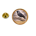 PE 10368 Coloeus monedula
