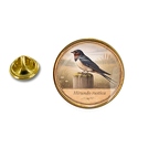 PE 10369 Hirundo rustica