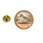 PE 10371 Motacilla alba