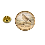 PE 10382 Turdus viscivorus