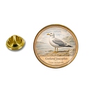 PE 10393 Larus michahellis