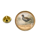 PE 10396 Gallinula chloropus