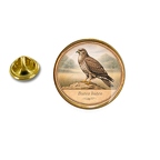 PE 10399 Buteo buteo