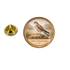PE 10400 Falco tinnunculus