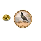 PE 10410 Phalacrocorax aristo