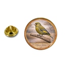 PE 10411 Chloris chloris