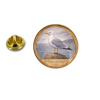 PE 10412 Larus argentatus