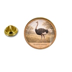 PE 10413 Struthio camelus