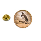 PE 10414 Polemaetus bellicosus