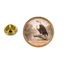 PE 10415 Haliaeetus vocifer