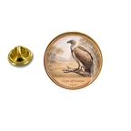 PE 10416 Gyps africanus