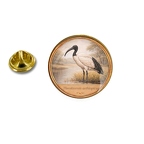 PE 10420 Threskiornis aethio