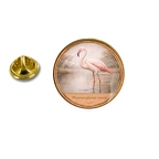 PE 10423 Phoenicopterus roseus