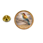 PE 10429 Merops apiaster