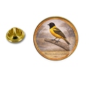 PE 10433 Ploceus melanoceph