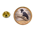 PE 10440 Corvus albus
