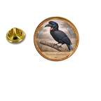 PE 10441 Bucorvus abyssinicus