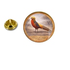 PE 10444 Chrysolophus pictus