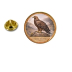 PE 10449 Aquila nipalensis