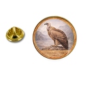 PE 10450 Gyps himalayensis