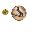 PE 10458 Phalacrocorax capil