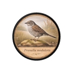 PR oiseaux