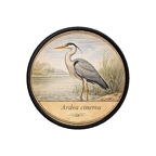 PR10394  Ardea cinerea