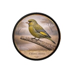 PR10411  Chloris chloris