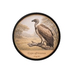 PR10416  Gyps africanus