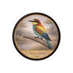 PR10429  Merops apiaster