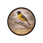 PR10433  Ploceusmelanocephalus
