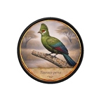 PR10439  Tauraco persa
