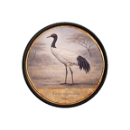 PR10447  Grus nigricollis