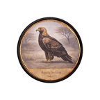 PR10448  Aquila heliaca