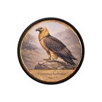 PR10451  Gypaetus barbatus