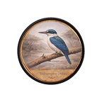 PR10452  Todiramphus chloris