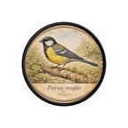 PR10360  Parus major