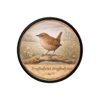 PR10372  Troglodytes