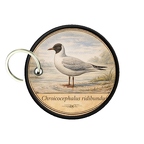 pc pr oiseaux
