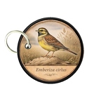 PC PR10405  Emberiza cirlus