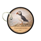 PC PR10409  Fratercula arctica