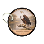 PC PR10415  Haliaeetus vocifer