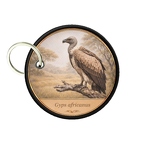 PC PR10416  Gyps africanus