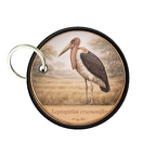 PC PR10417  Leptoptiloscrumeni