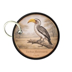PC PR10419  Tockusflavirostris